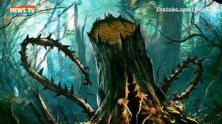 Cây ăn thịt người - Truyền thuyết từ thần thoại cho tới đời thực