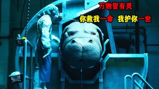 万物皆有灵，你救我一命，我护你一世！