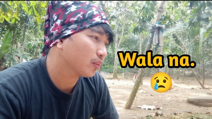 Problemado | Boy ando at Boy kalbo part 2