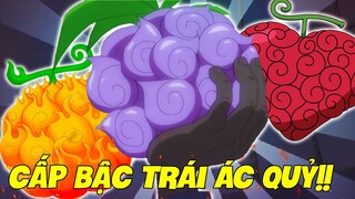 Xếp Hạng Cấp Bậc Trái Ác Quỷ Trong One Piece | Tiềm Năng Trái Gomu Gomu