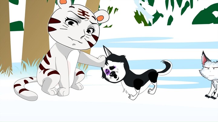 The tiger met a husky in the forest