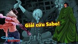 [Giả thuyết]. Tình trạng của Sabo? Luffy và Dragon đại chiến tổng bộ cứu Sabo?