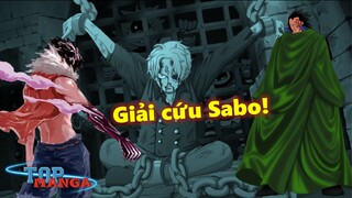 [Giả thuyết]. Tình trạng của Sabo? Luffy và Dragon đại chiến tổng bộ cứu Sabo?