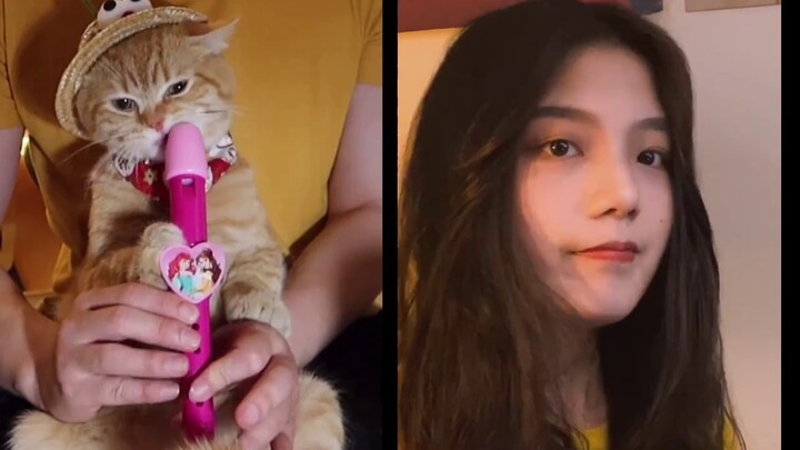 [Daoxiang] What kind of experience is it like to sing Jay Chou's classic songs with the cat and the 
