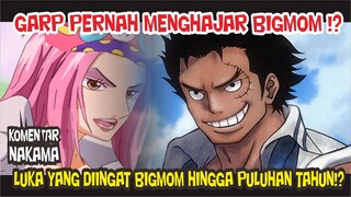 MONKEY D GARP PERNAH MEMBUAT BIGMOM TERLUKA PARAH DIMASA LALU [Komentar Nakama]