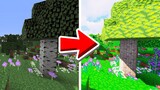 Make Minecraft Look AMAZING by Doing This!