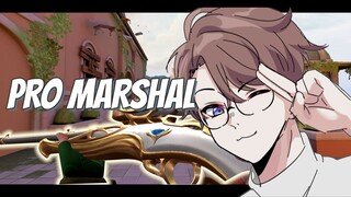 Pro Marshal - Valorant Montage