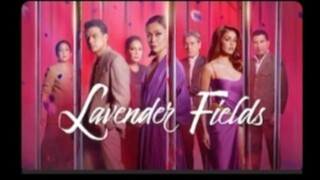 LAVENDER FIELDS - ADVANCE EPISODE 20