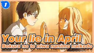 Your lie in April |Bokura no te niwa nanimo naikedo_1