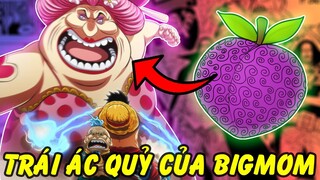 Sự Thật Thú Vị Về Trái Ác Quỷ Của Big Mom! | Trái Soru Mạnh Cỡ Nào?!