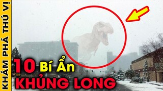 🔥 10 Bí Ẩn Ly Kỳ Và Đáng Sợ Nhất Về KHỦNG LONG Mà Bạn Chưa Được Biết | Khám Phá Thú Vị