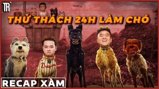 Anh em tôi làm ch.ó | Recap Xàm: Isle of Dogs