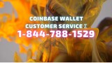 Coinbase wallet 📞customer service ☎ 1-844-788-1529