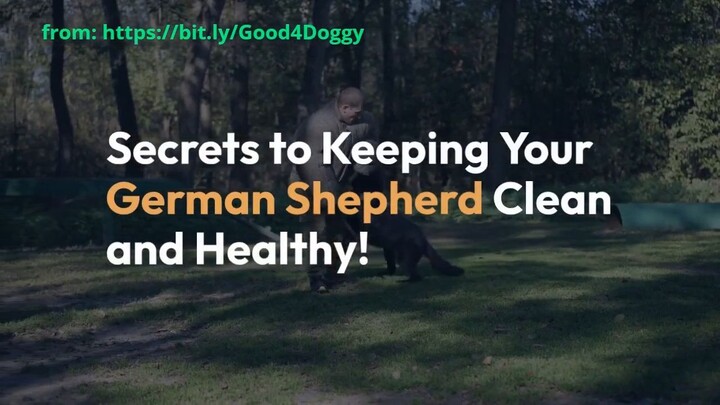 Keep Your German Shepherd Clean and Healthy with These Secrets!