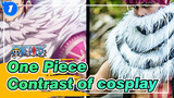 [One Piece]Contrast of cosplay!_1