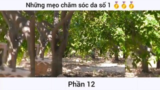 Những mẹo chăm sóc da tốt số 1 #12