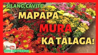 GARDENS in SILANG CAVITE | Plants For Sale at Cheapest Prices