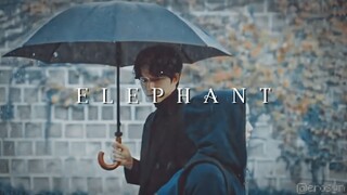 ✧˚‧ the elephant ∥ korean multicouples