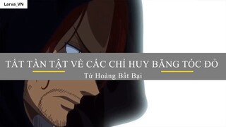 Tứ Hoàng Bất Bại_ Sức Mạnh _QUÁI VẬT_ Các Chỉ Huy Băng Tóc Đỏ Trong One Piece 2