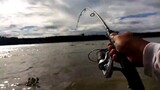 Dam Fishing Part 4, Carp Fishing and Fun Bonding