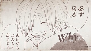 【海贼王手书/路香】Hope