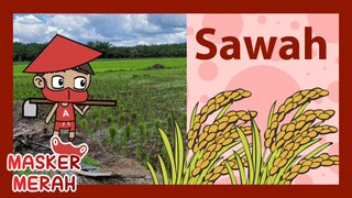 SAWAH / PETANI