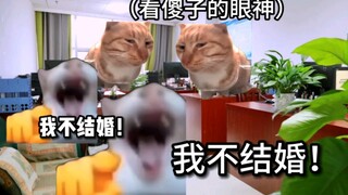 【猫meme】转行业后为双休五险一金到了自己完全不了解的单位……（二）