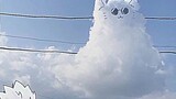 cloud cat gojo