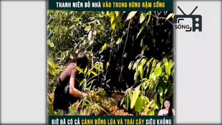 cuộc sống trong rừng p5