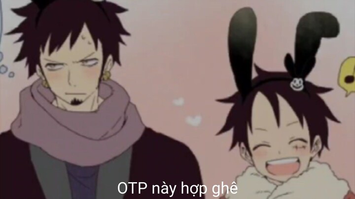 OTP luffy x law