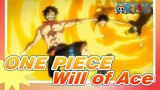[ONE PIECE] Let Me Inherit the Will of Ace: Come Out, The Fist of Fire!