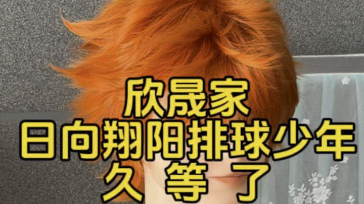 【假发测评】欣晟家排球少年日向翔阳：久  等  了
