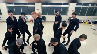 [Đại học Keio Nhật Bản Navi] [Bạn đã bao giờ xem một HIT gọn gàng như vậy] SEVENTEEN 'HIT' 13 người 