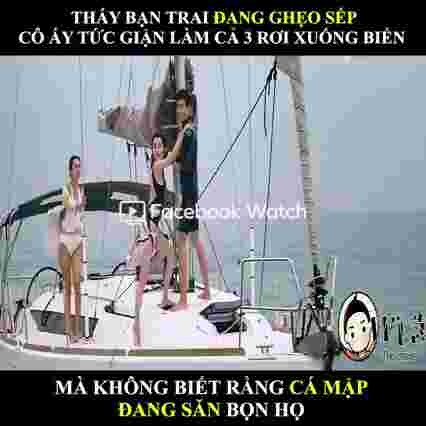 Cá mập ăn thịt người