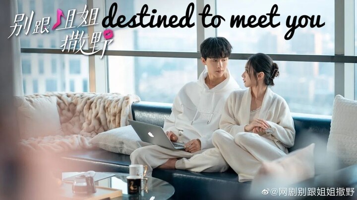 Destined to Meet You (Eps 20, End Sub Indonesia)