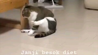 Janji besok diet 😿😿