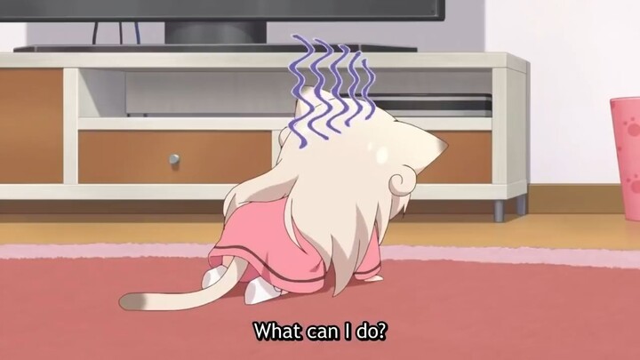 Kawaii Cute Moment  Funny Cute Moments  Nyanko Days
