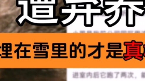 The original prototype of Luo Xiaohei was abandoned! The truth is revealed!!!