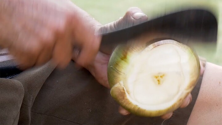 Toddy Palm Fruit | Thai Street Food