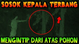 🔴 324- SOSOK KEPALA NGINTIP DARI POHON | UJI NYALI