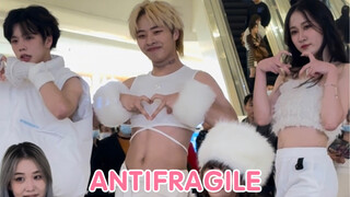 《ANTIFRAGILE》樱花位