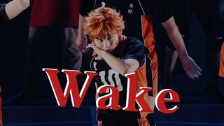 【排球少年舞台剧 | 安利向】Wake，但是排舞