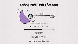 [Vietsub + Tiktok] Không Biết Phải Làm Sao - Vương Tĩnh Văn Không Mập | 不知所措 - 王靖雯不胖