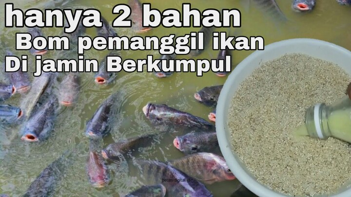 CARA AMPUH, MEMANGGIL IKAN KE LAPAK KITA (Bom Mancing Semua Jenis Ikan)