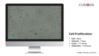 Celloger® Mini Plus Application I Cell proliferation