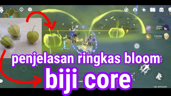 penjelasan reaksi pembentukan biji core || Dps terbaik spiral