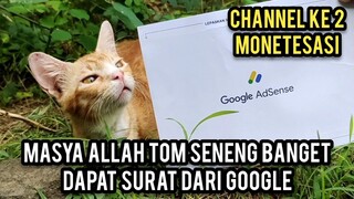 Masya Allah Kucing Tom Seneng Banget Dapat Hadiah Pin Google Dari Youtube..!