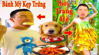 Thú Cưng TV | Tứ Mao Đại Náo #19 | Chó Golden Gâu Đần thông minh vui nhộn | Pets cute dog