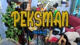 Packasz - Peksman (Siakol cover) / Reggae version