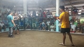 RJ Backyard GREY Win/BULUSAN COCKPIT